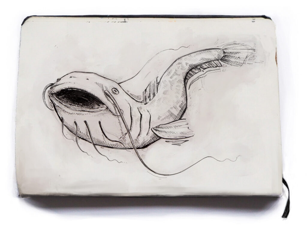 Drawing of a fish
